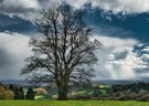 Der Regen kommt