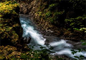 Bürser Schlucht III : Tosender Alvierbach