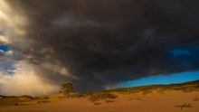 Coral Pink Dunes