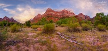 Wanderung im Zion NP