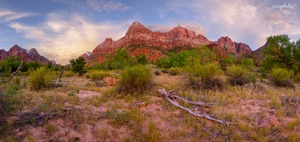 Wanderung im Zion NP