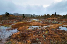 Herbst in Norwegen