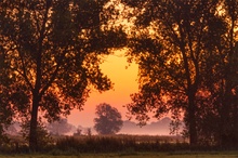 Herbstdämmerung