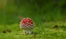 Klein kleiner am kleinsten