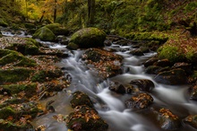 Herbststimmung am Gebirgsbach