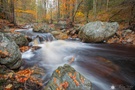 Herbstimpressionen an der Hoegne