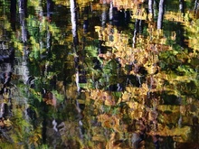 Herbst-Spiegelei