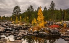 Herbst in Lappland