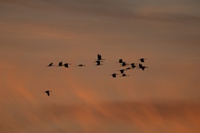 Aufbruch vor Sonnenaufgang