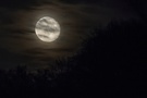 Dunkel wars der Mond schien helle.....