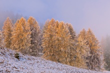 Herbstübergang