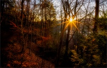 Sonnenuntergang am Isarhochuferweg