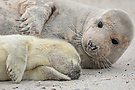 Helgoland 2021