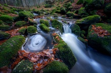 Nationalpark bayerischer Wald