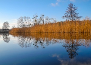 Winter an der Havel