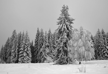 Schwarzwald-Hochstraße