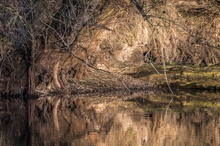 Wintersonne am Teich