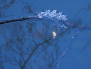 Die blaue Stunde