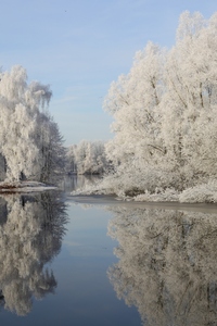 Winterliche Grüße zu Weihnachten