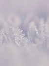 Eiszauber