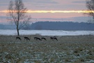 Letztes Jahr gabs Schnee