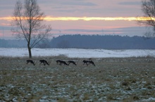 Letztes Jahr gabs Schnee