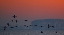 morgens am Bodden II