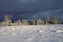 Der Schwarzwald ist wieder weiss