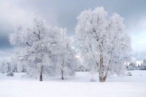 Winterlandschaft