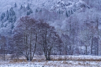 der Schnee schaft neue Strukturen