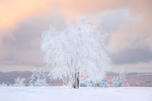 Heimatliche Winterlandschaft