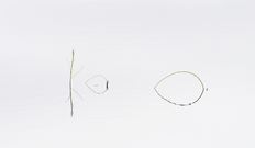 Kleine und große Fische....