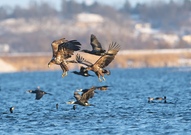 An einen wunderschönen Kalten Tag.