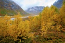 Herbstliches Norwegen