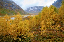 Herbstliches Norwegen