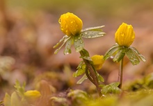 Ein bißchen Farbe