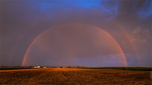 Der Regenbogen