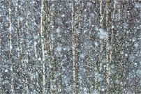 Schneeflöckchen ....