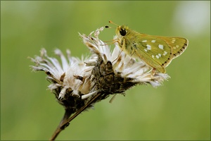Als es noch wärmer war