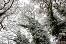 Winterzauber auf meinem Hof