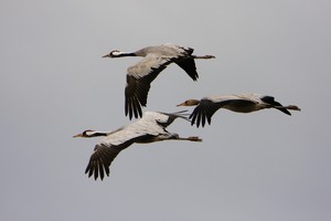 Familien-AusFLUG