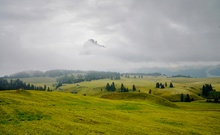 Auf der Alm...