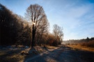 Mein Morgenspaziergang an der Isar ....