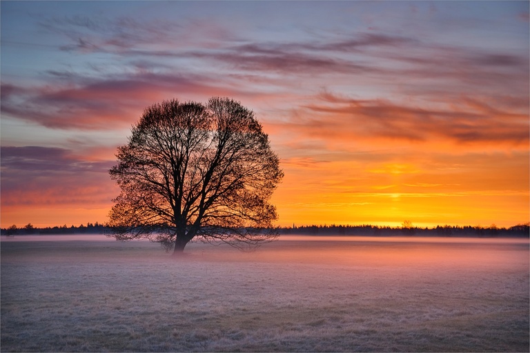 Morgenleuchten