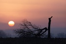 nach dem Sturm