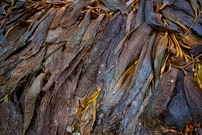 Mal was ganz Anderes