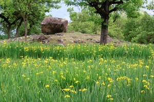 Ursprüngliche Landschaft