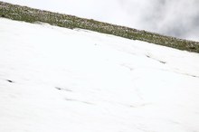 Am Horizont ein Streifen Bergfrühling