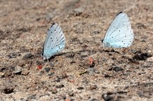 Die Trockenheit hat begonnen