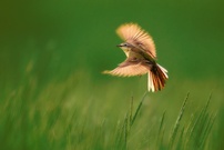 Takeoff